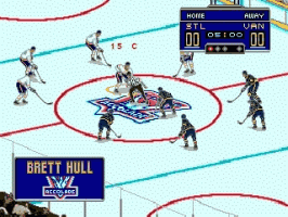 Brett Hull Hockey 